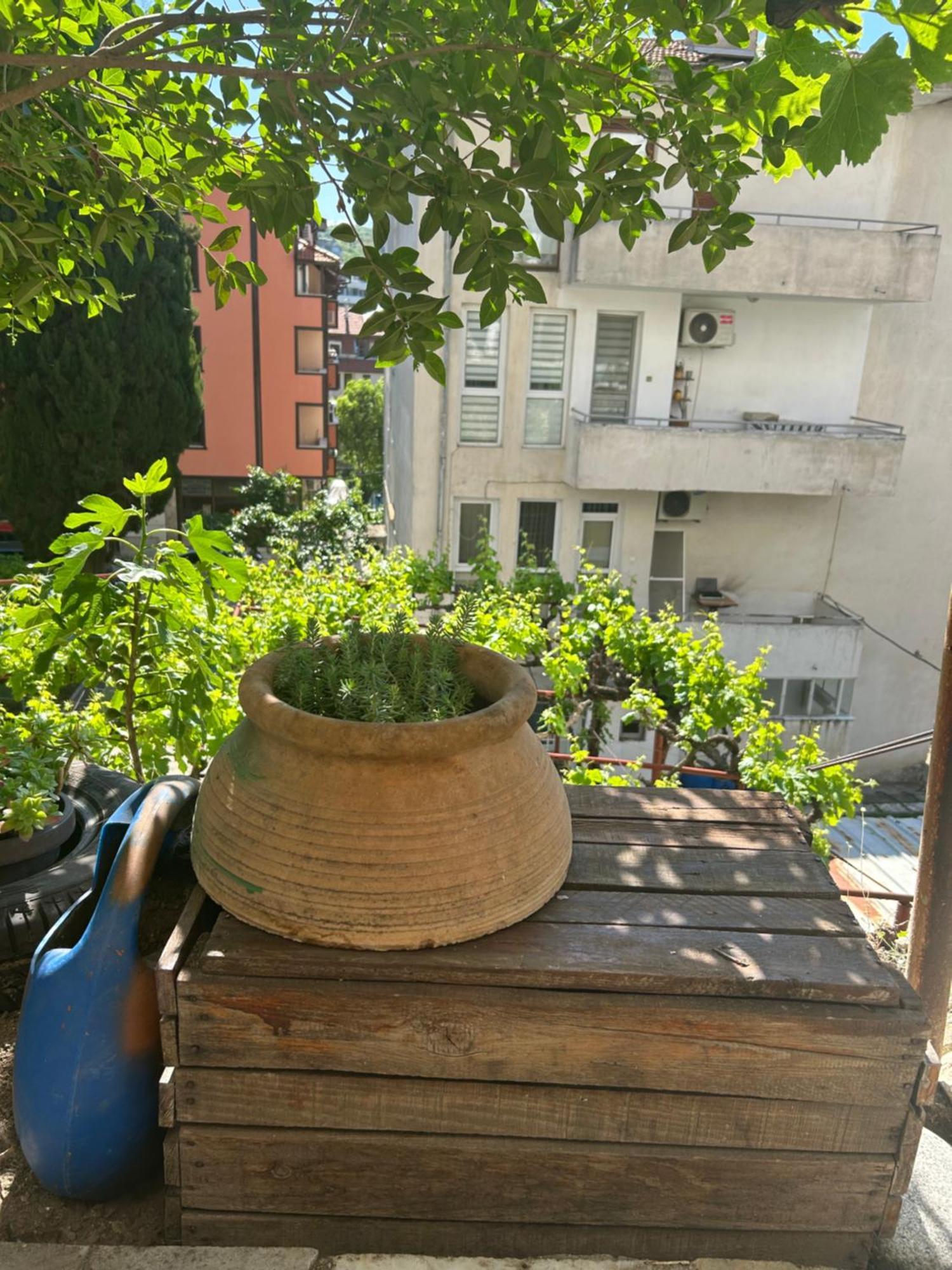 Didi House Apartment ซันดันสกี ภายนอก รูปภาพ