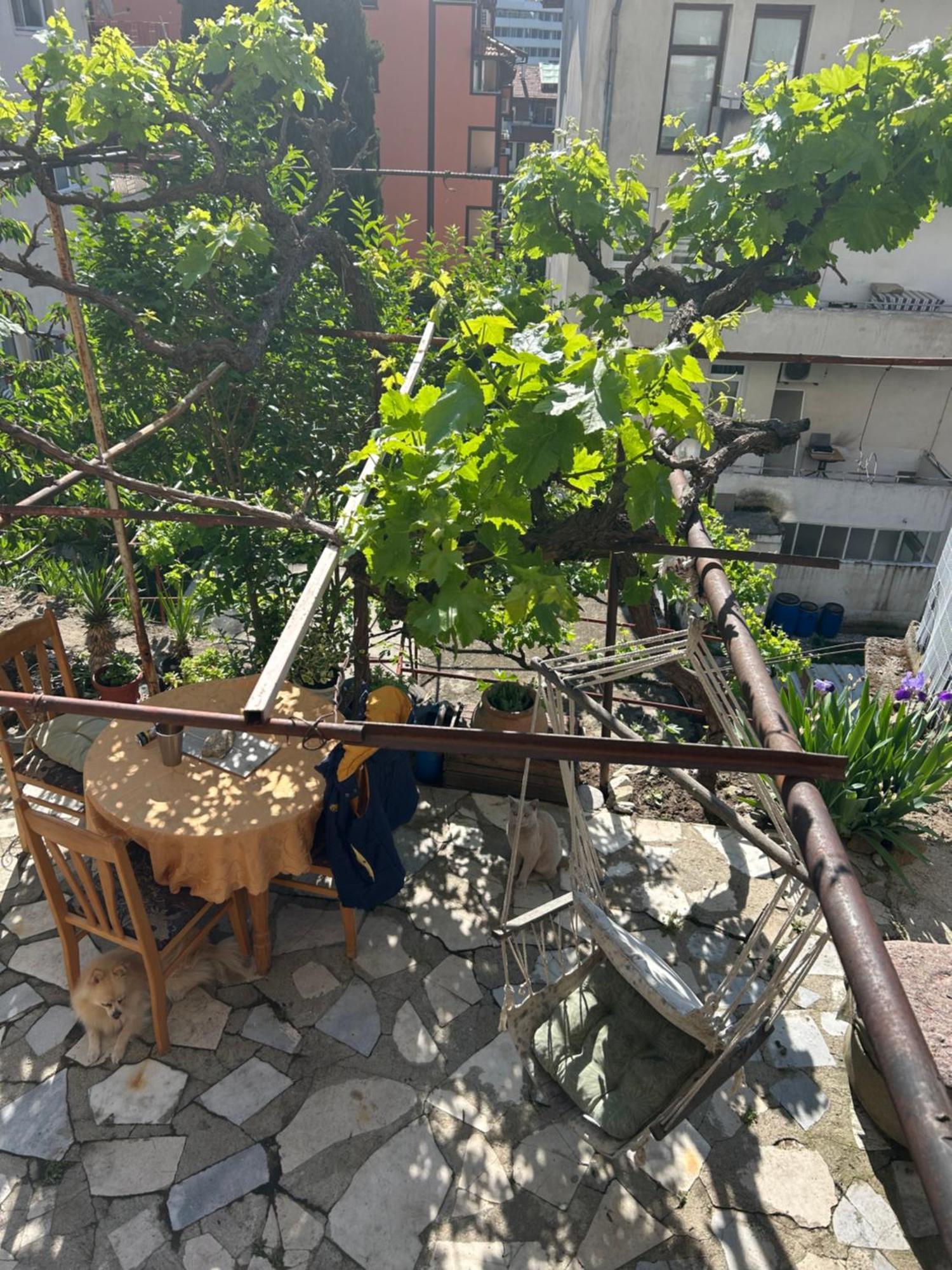 Didi House Apartment ซันดันสกี ภายนอก รูปภาพ